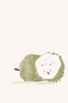 Tropical Soursop