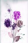 Bouquet Violet