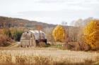 Barn & Beehives