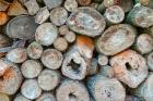 Woodpile