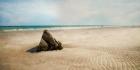 Beach Boulder