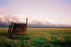 Fence In Jackson