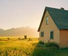 Golden Tetons