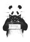 Bad Panda