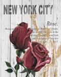 New York Roses