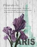 Paris Iris