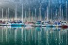 Hout Bay Harbor, Hout Bay South Africa