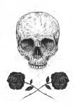 Skull N Roses