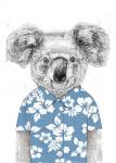 Summer Koala (Blue)