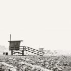 BW Lifeguard