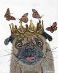 A Crowned Pug