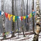 Prayer Flags, Woodstock, NY