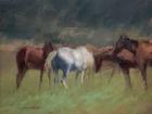 Southern Horses