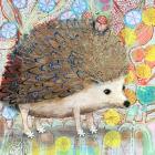 Hedgie