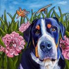 Dog and Dragonflies