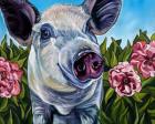 Pigs and Peonies