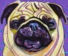 Purple Pug