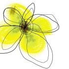 Yellow Petals Four