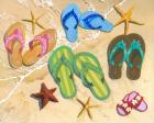 Flip Flop Family