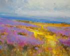 Field of Lavenders 2