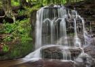 Gunn Brooks Falls