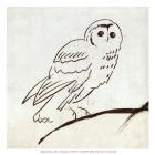 Owl II