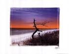 John jone's photography - Dusk Size 11x14