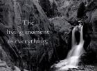 The Living Moment