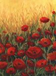 Poppy Paradise