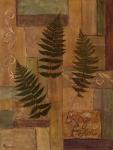 Log Fern