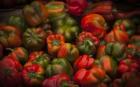 Red Peppers