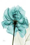 Teal Spirit Rose