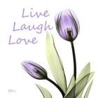 Live Laugh Love