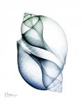 Crystal Breeze 1