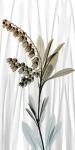Suave Snowdrops 1