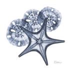 Indigo Starfish and Sand Dollar