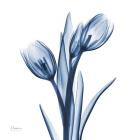 Tulips Indigo