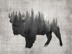 Pine Bison