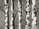 Birch Backwoods
