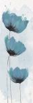 Blue Poppies 2