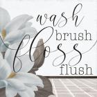 Powder Wash Brush