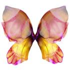 Floral Butterfly 4