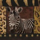 Zebra bordered