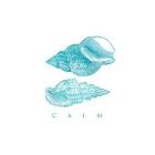 Calm Shells