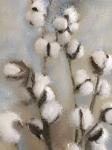 Sprays of Cotton 1