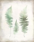 Watercolor Fern 1 Vintage