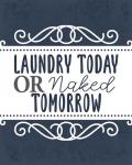 Laundry Today 1