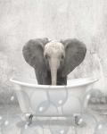 Baby Elephant Bath