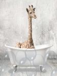 Baby Giraffe Bath