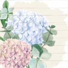 Hydrangea 1